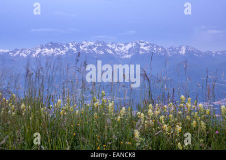 Saint Hilaire du Touvet, natürlicher Park des Le Chartreuse, Isère, Rhône-Alpes, Frankreich Stockfoto