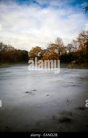 nebliger frostigen Morgen auf See im winter Stockfoto