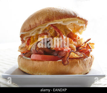 Main Lobster BLT-Tomaten-Mayo auf Brioche Rollen auf einem weißen Teller Stockfoto