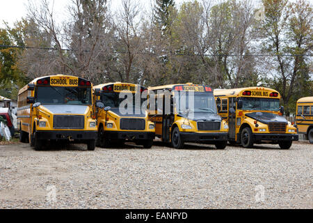 Reihe von gelben Schulbusse geparkt auf einem Hof im ländlichen Saskatchewan Kanada Stockfoto