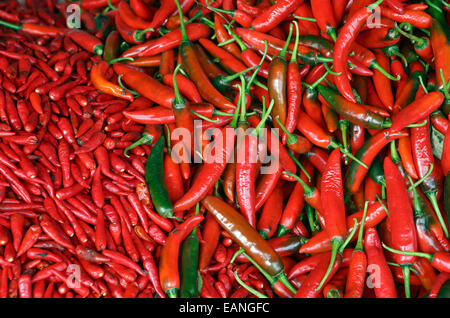 Rote heiße frische Paprika Stockfoto