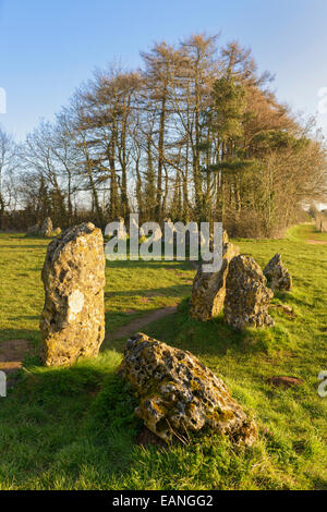 Bestandteil des Königs Männer Steinkreis Rollright Stones Oxfordshire England UK Stockfoto