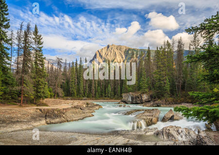 Natur-Kanada Stockfoto