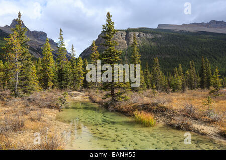 Natur-Kanada Stockfoto