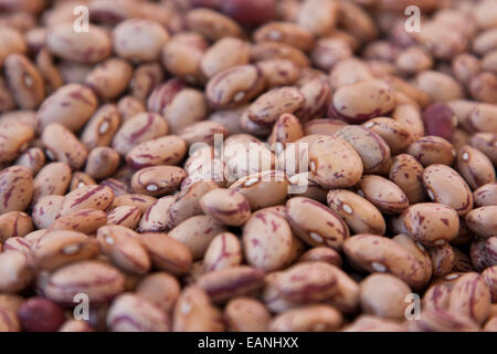 Getrocknete Cranberry Bohnen in Berkeley Bauernmarkt. Stockfoto