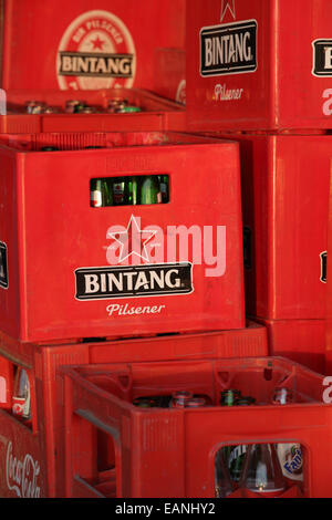 Kisten mit indonesischen Bintang Bier Stockfoto