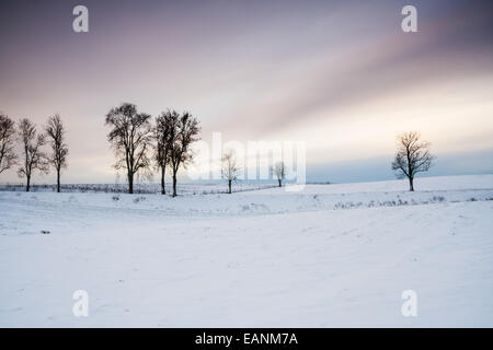 Winter-Feld bei Sonnenuntergang Landschaft Stockfoto