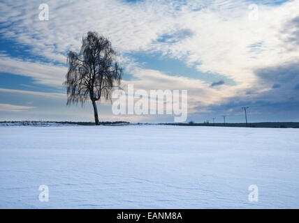 Winter-Feld bei Sonnenuntergang Landschaft Stockfoto