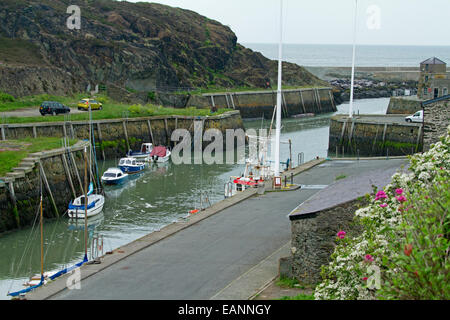 Kleinen und geschützten historischen Hafen von Porth Amlwch mit bunten Wildblumen auf grasbewachsenen Hang & Boote auf ruhigem Wasser Stockfoto