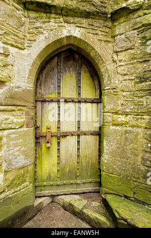 Alte gewölbte Holztür, beschichtet mit grünem Schimmel, umgeben von alten Steinmauern Ruinen des 12. Jahrhunderts Tintern Abbey, Wales Stockfoto