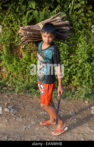 Lao junge sammeln von Holz Stockfoto