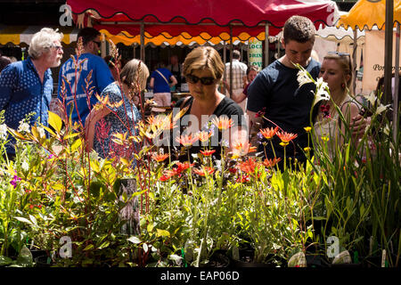 Blume-Stand auf der Stroud Bauer Markt, Stroud, Gloucestershire, UK Stockfoto