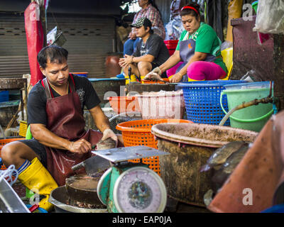 Bangkok, Bangkok, Thailand. 19. November 2014. Fisch-Verkäufer in Khlong Toei Markt in Bangkok. Zwischen Juli und September die Wirtschaft nur 0,6 Prozent im Vergleich zum Vorjahr wuchs, berichtet des National Economic and Social Development Board (NESDB). Thailands Wirtschaft erreicht ein schwache 0,2 Prozent Wachstum in den ersten neun Monaten des Jahres. Die NESDB sagte, dass die thailändische Wirtschaft wird voraussichtlich um 1 Prozent im Jahr 2014 wachsen. Behörden sagen, dass die langsamen Wachstums ist, weil Touristen nach Thailand im Zuge des Putsches im Mai 2014 nicht zurückgegeben und die geringere Nachfrage für Computer-Komponenten, Stockfoto