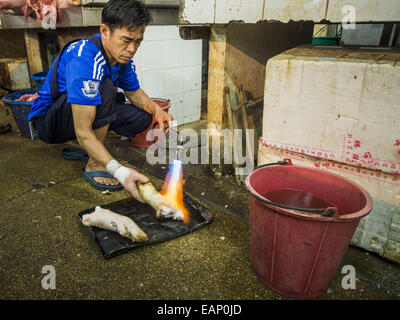 Bangkok, Bangkok, Thailand. 19. November 2014. Ein Kreditor brennt das Haar von einem Schwein Fuß in Khlong Toei Markt in Bangkok. Zwischen Juli und September die Wirtschaft 0,6 Prozent im Vergleich zum Vorjahr wuchs, berichtet des National Economic and Social Development Board (NESDB). Thailands Wirtschaft erreicht ein schwache 0,2 Prozent Wachstum in den ersten neun Monaten des Jahres. Die NESDB sagte, dass die thailändische Wirtschaft wird voraussichtlich um 1 Prozent im Jahr 2014 wachsen. Behörden sagen, dass das schleppende Wachstum ist, weil Touristen nach Thailand im Zuge des Putsches im Mai 2014 nicht zurückgegeben und reduzierte deman Stockfoto