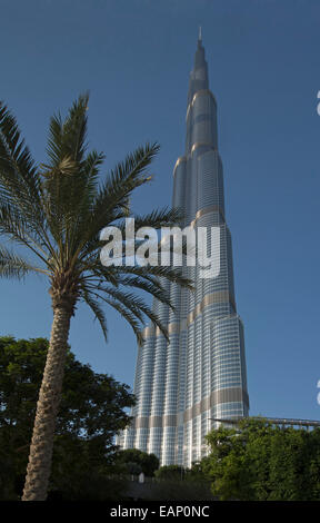 Der Burj Khalifa, das höchste Gebäude, Palme überragt und in blauen Himmel in der Stadt von Dubai VAE durchbohren der Welt Stockfoto