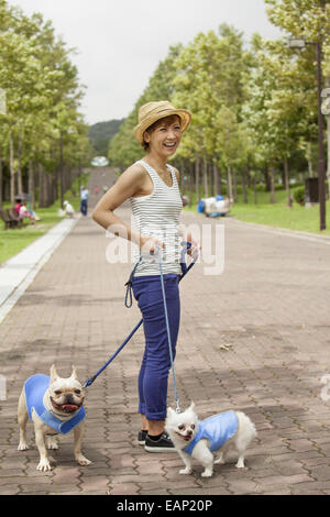 Frau zu Fuß zwei Hunde auf einem gepflasterten Weg. Stockfoto