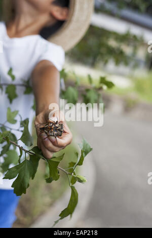 Junge mit Stroh Hut, hält einen Käfer. Stockfoto