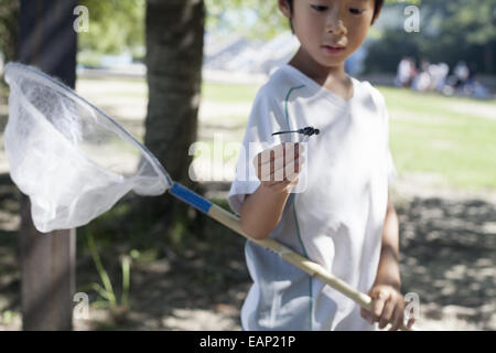 Kleiner Junge hält ein Schmetterlingsnetz. Stockfoto