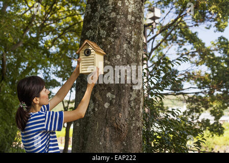 Frau, ein Vogelhaus auf einem Baum. Stockfoto