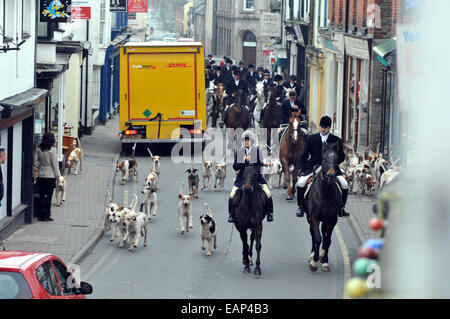 Kington, Herefordshire, England. 19. November 2014. Radnor und West Herefordshire Hunt geht durch die Stadt Kington, in der Nähe auf Hergest Ridge zu jagen. Rund 20 Fahrer nahmen an der Veranstaltung teil. Bildnachweis: Andrew Compton/Alamy Live-Nachrichten Stockfoto