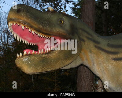 North-American Albertosaurus, eine große Kreidezeit-Ära fleischfressender Dinosaurier, im Dinopark Amersfoort Zoo, Niederlande Stockfoto