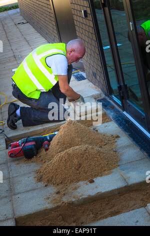 Arbeiter, die Verlegung von Pflastersteinen auf sand Stockfoto