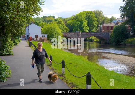 Frau zu Fuß Hund am Pfad entlang des Flusses Eden. Appleby in Westmorland, Cumbria, England, Vereinigtes Königreich. Stockfoto