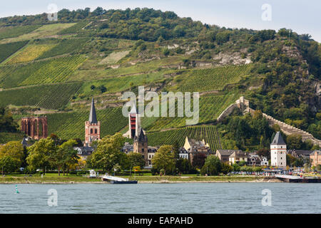 Blick über den mittleren Rhein Rebhang oberhalb der Ruine der Wernerkapelle in Bacharach am Rhein, Rheinland-Pfalz, Deutschland Stockfoto