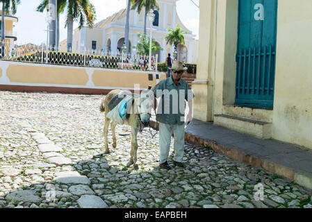 TRINIDAD, Kuba - 8. Mai 2014: alte Männer mit Esel zu vermieten in Trinidad. In der Tourismusbranche arbeiten ist die einzige Möglichkeit, das kubanische Volk verdienen können Stockfoto