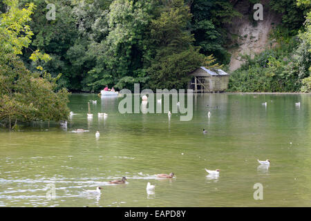 Swanbourne See in der Nähe der Burg in Arundel in West Sussex. England. Mit Menschen im Ruderboot Stockfoto