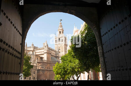 La Giralda Turm der Kathedrale, die ursprünglich als eine maurische Minarett im zwölften Jahrhundert, Sevilla, Spanien Stockfoto