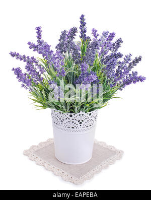 Topf mit Lavendel isoliert auf einem weißen Stockfoto