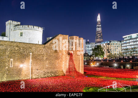 Keramik Mohn Memorial bei Nacht Tower Of London UK Stockfoto