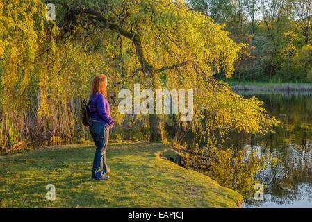 Frau genießt Teich, schöner Abend, der Strand von Playa de l, Vancouver, British Columbia, Kanada. Stockfoto