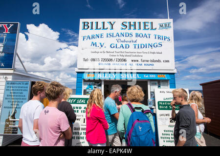 Touristen buchen eine Billy Shiel Farne Insel Bootstour in gemeinsame, Northumberland, UK. Stockfoto