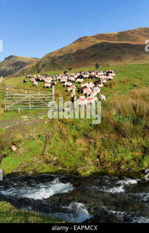 Buttermere in Cumbria, fotografiert im November 2014 Stockfoto