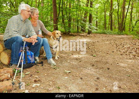 Älteres Paar mit Hund in einem Wald auf Baumstämmen sitzend Stockfoto