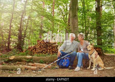 Gerne älteres Paar sitzt im Wald mit Hund im Sommer Stockfoto