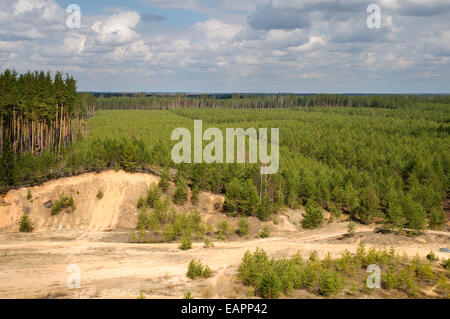 Wald Plantagen und die Entnahme von Sand im Nordosten Lettlands Stockfoto