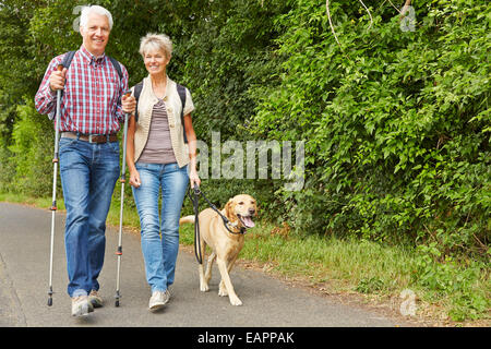 Gerne älteres Paar mit Labrador Retriever Hund wandern im Sommer Stockfoto