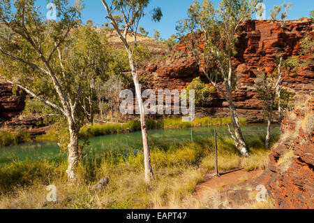 Pool im Kalamina Gorge, Karijini NP, WA, Australien Stockfoto