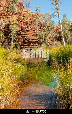 Pool im Kalamina Gorge, Karijini NP, WA, Australien Stockfoto