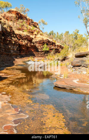 Kalamina Gorge, Karijini NP, WA, Australien Stockfoto