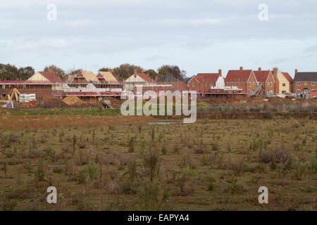 Neue Wohnsiedlung gebaut. Grünen Wiese. Stalham. Norfolk. England. Stockfoto