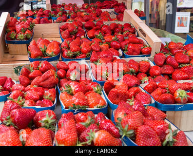 Frische Erdbeeren-Boxen locken Käufer... Ein Display am Marktstand des Anbieters Obst und Gemüse. Stockfoto