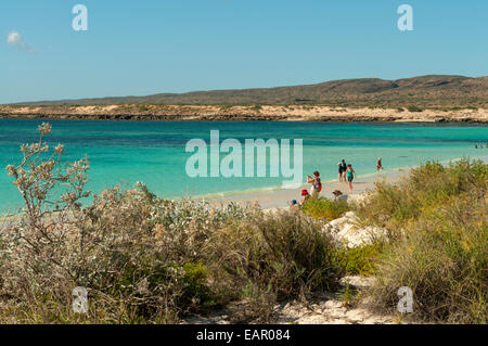 Ningaloo Reef von Turquoise Bay Beach, Cape Range NP, WA, Australien Stockfoto