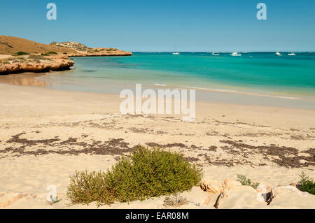 Ningaloo Reef von Coral Bay, WA, Australien Stockfoto