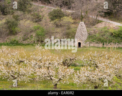 Stein-Borie in einem Obstgarten Steinmauer. Eine hohe Steinhütte jetzt zur Speicherung von Landmaschinen in der Trockenmauer um eine Blüte Stockfoto