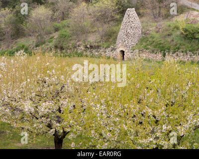 Stein-Borie in einem Obstgarten Steinmauer. Eine hohe Steinhütte jetzt zur Speicherung von Landmaschinen in der Trockenmauer um eine Blüte Stockfoto