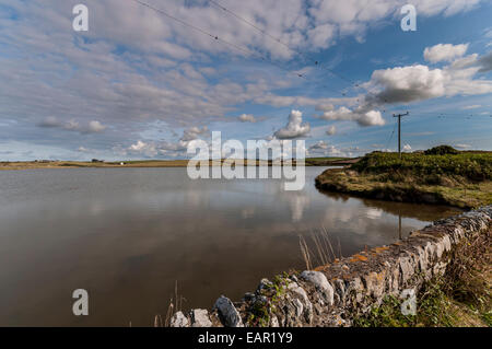 Cemlyn Naturschutzgebiet Bay Anglesey North Wales nisten Lagune Brackwasser Vogel Stockfoto